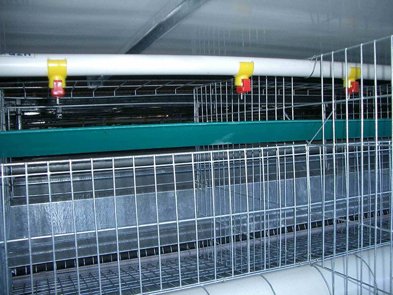 product-800-600 product-800-600